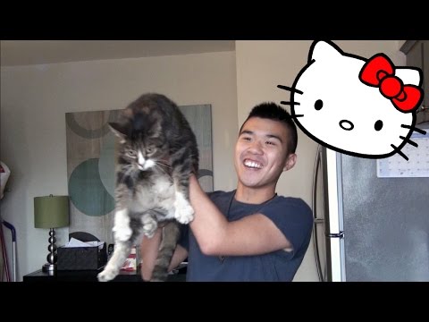 I EAT CATS!